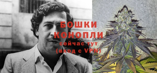 экстази Вяземский