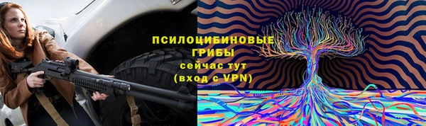 дурь Волоколамск
