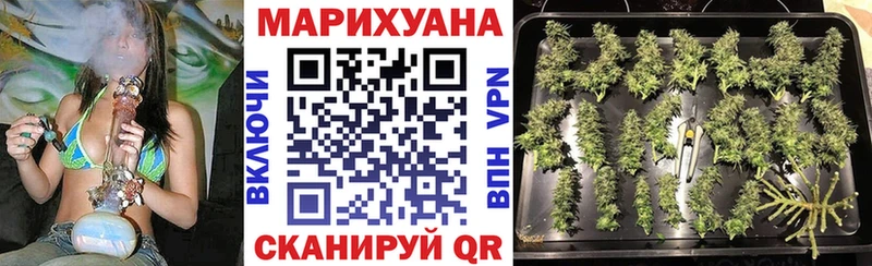 KRAKEN как войти  Шали  Бошки марихуана сатива 